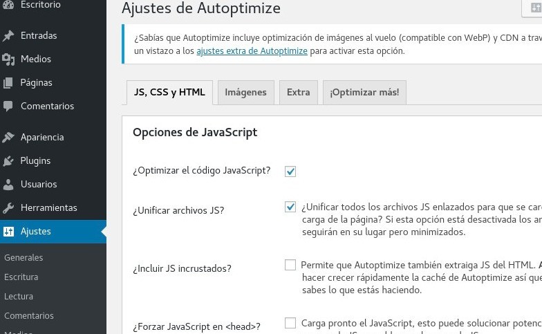 Optimizar JS, CSS y HTML - Ajustes de Autoptimize 